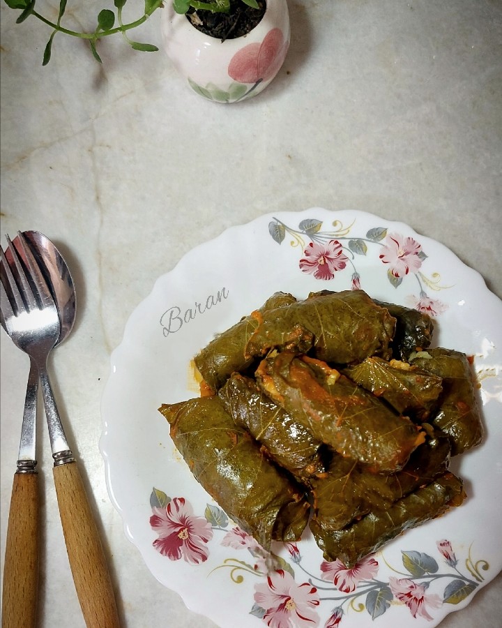 عکس دلمه برگ مو
