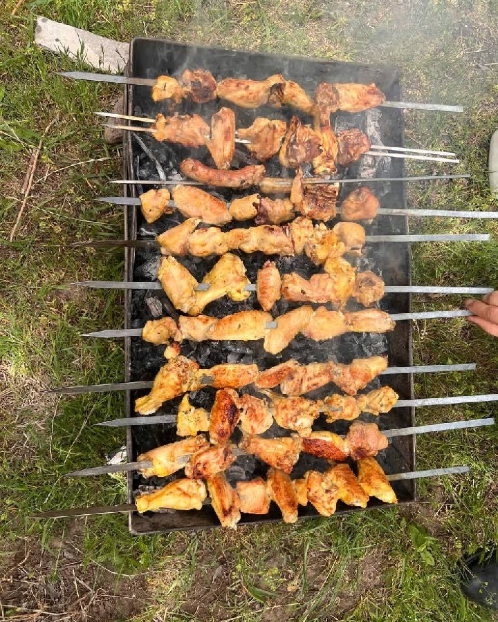 عکس کبـاب♡