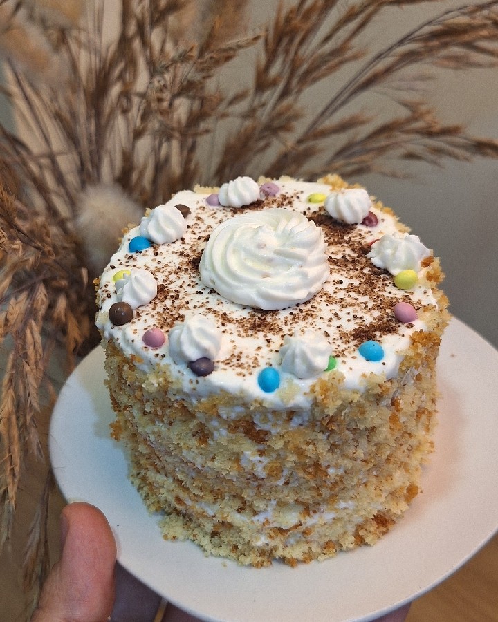 عکس مینی کیک ساده