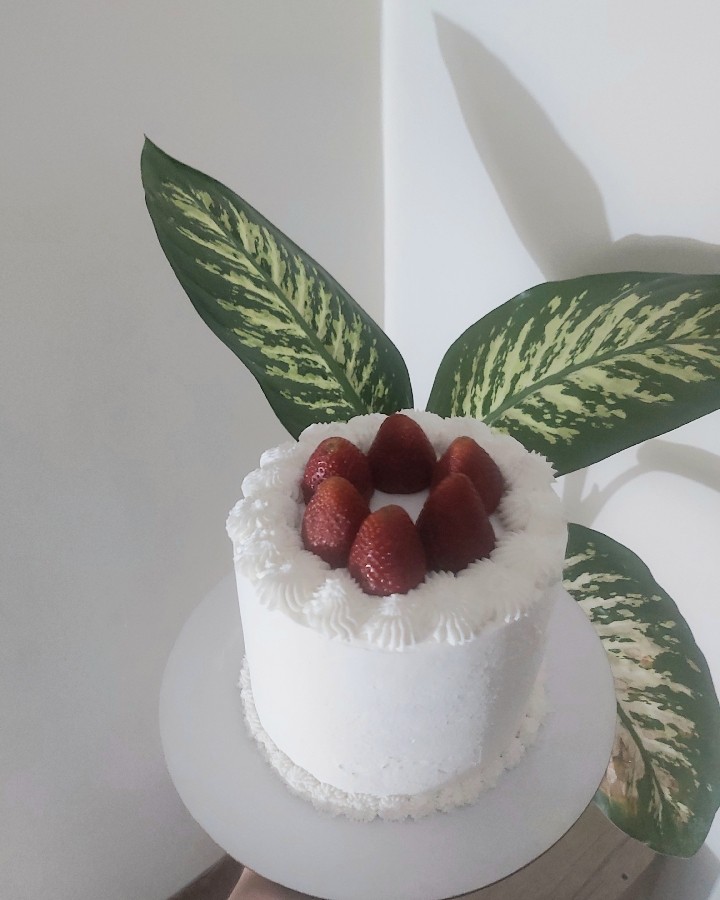 عکس کیک اسفنجی