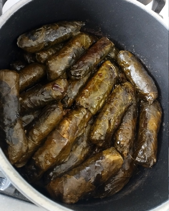 عکس دلمه برگ با شیره انگور و آلو بخاره