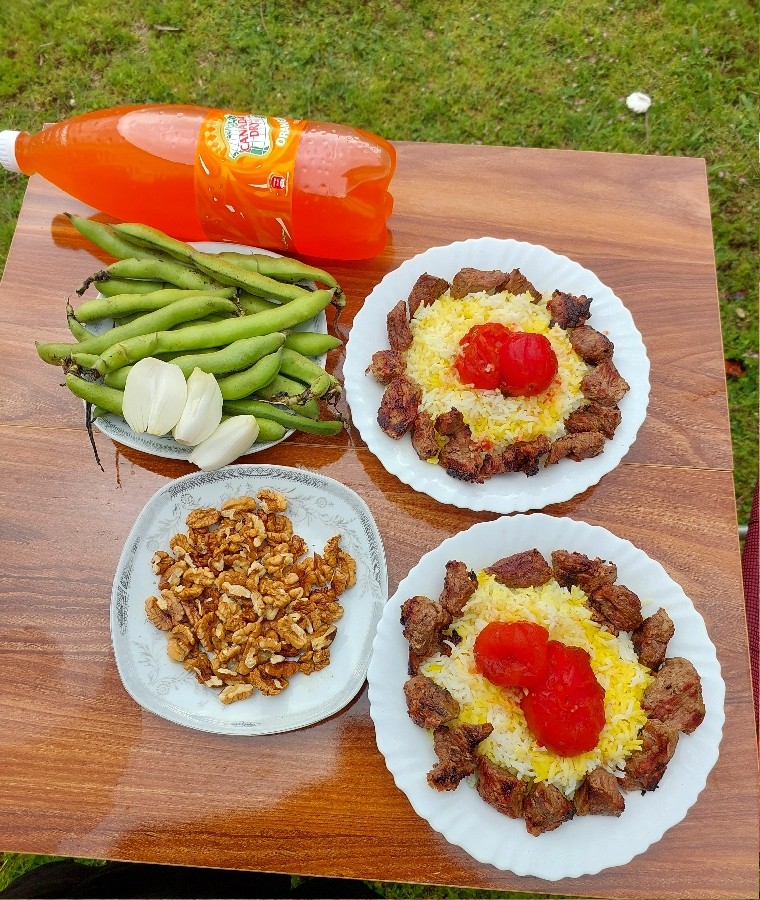عکس کباب در طبیعت ماسال