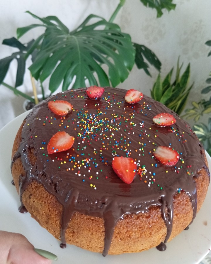 عکس کیک آجیلی