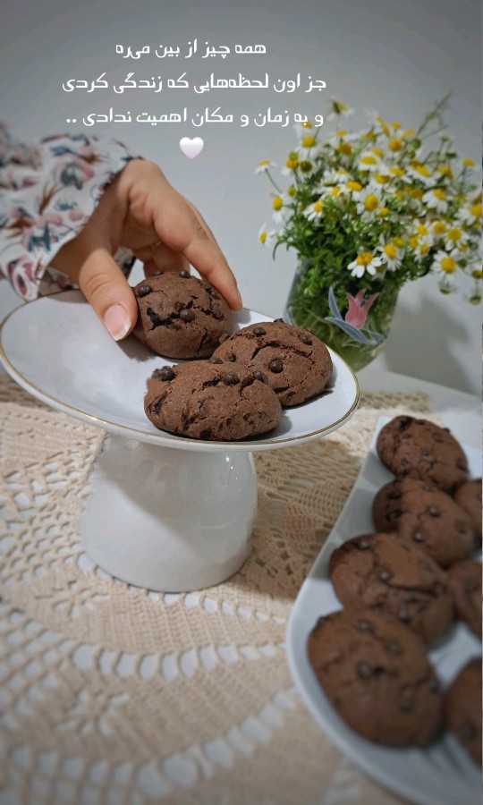 عکس کوکی شکلاتی ساده