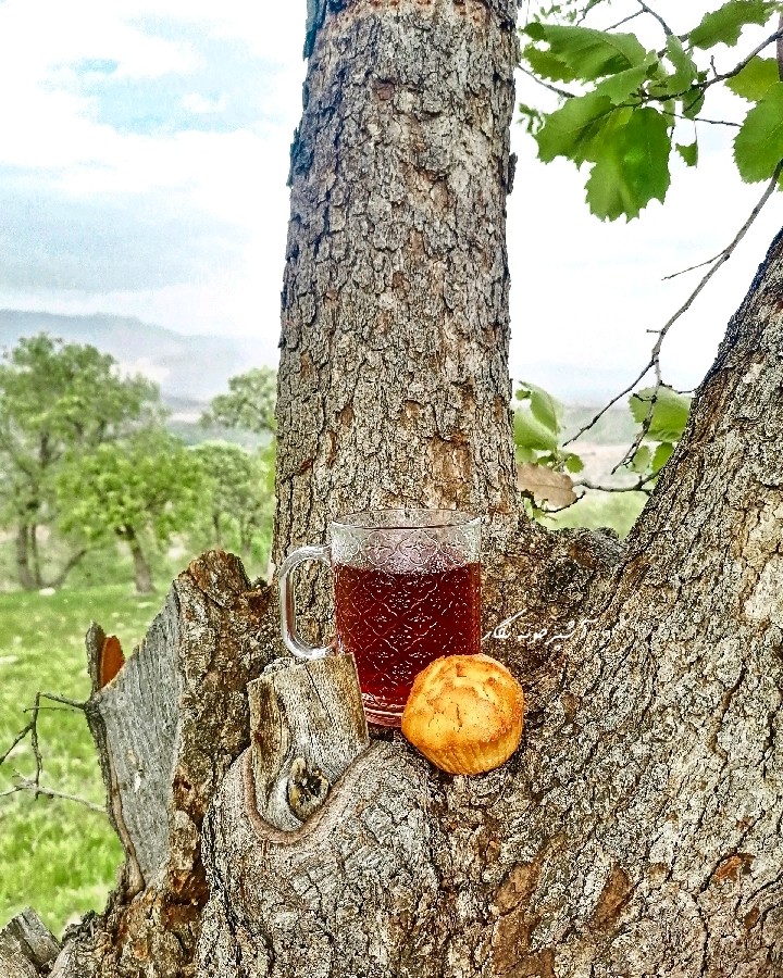 عکس کیک یزدی
