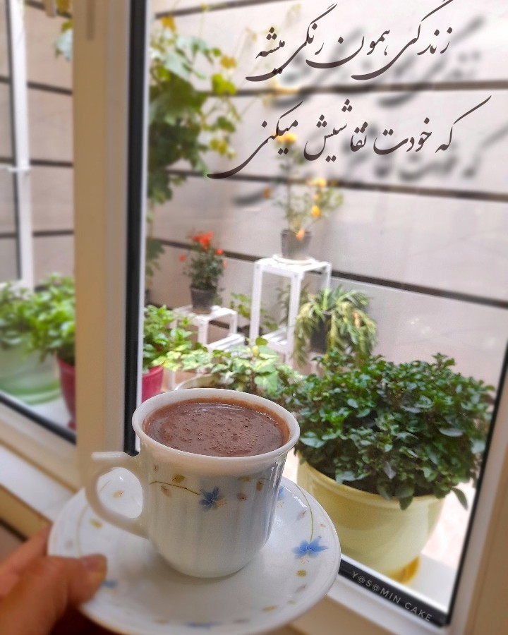 عکس روزمرگی