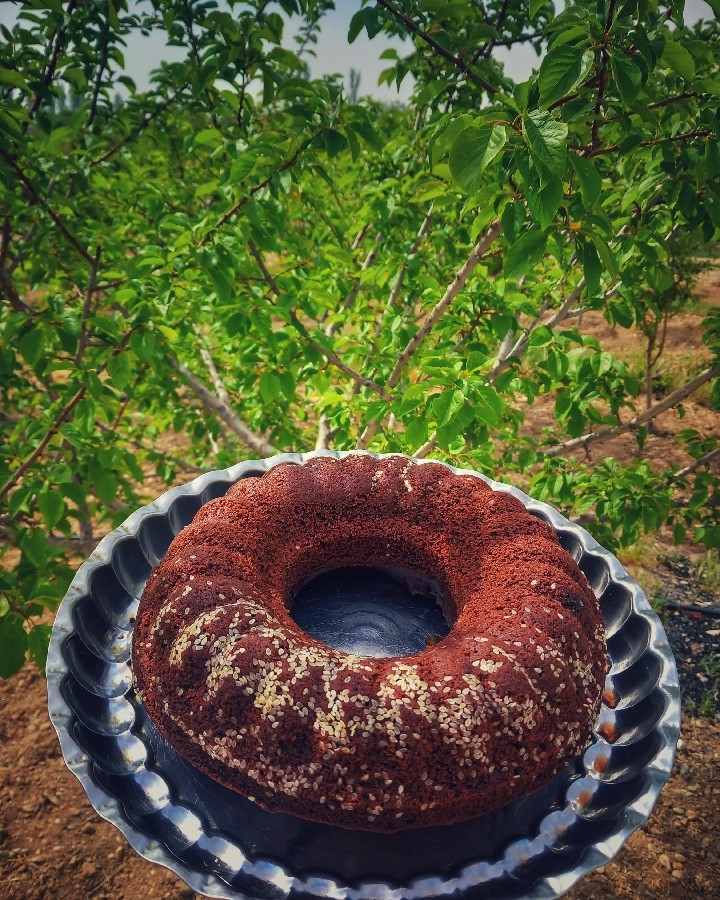 عکس کیک شکلاتی