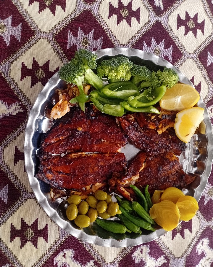 عکس ماهی 