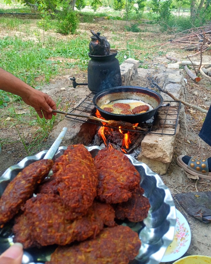 عکس ناهار روز معلم جمعه ظهر