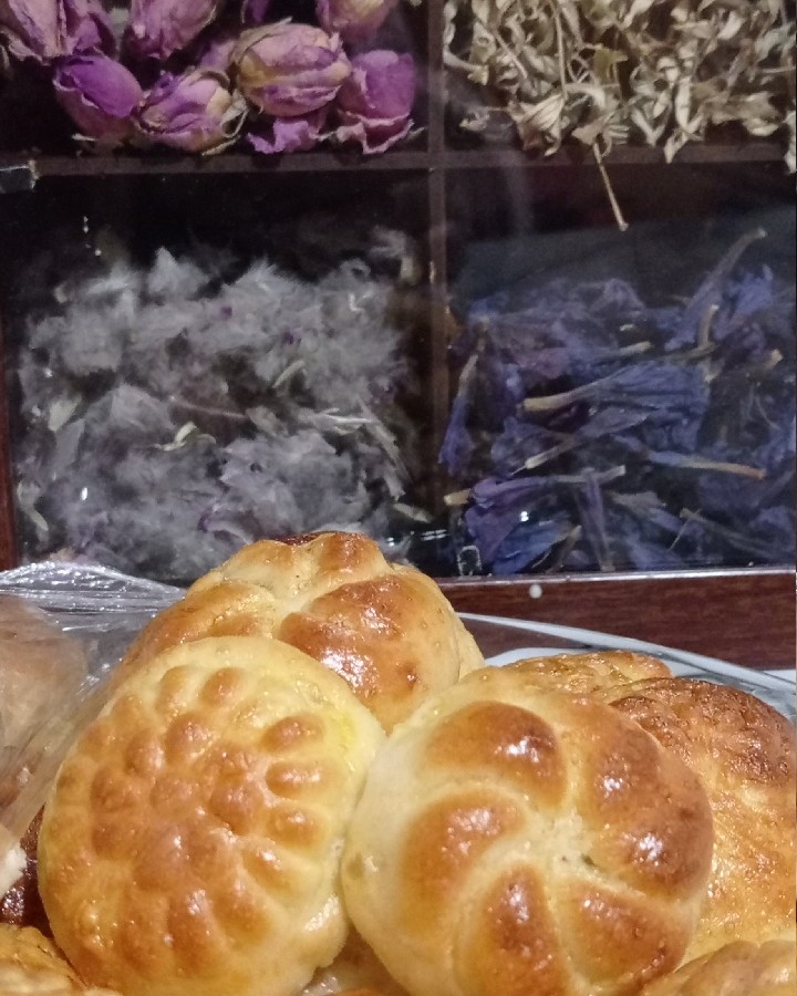 عکس نون خرمایی