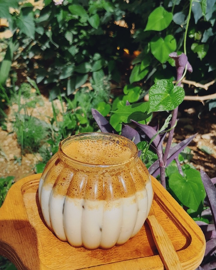عکس ☕️آیس دالگونا