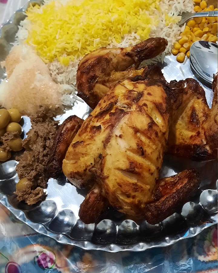 عکس مرغ شکم پر