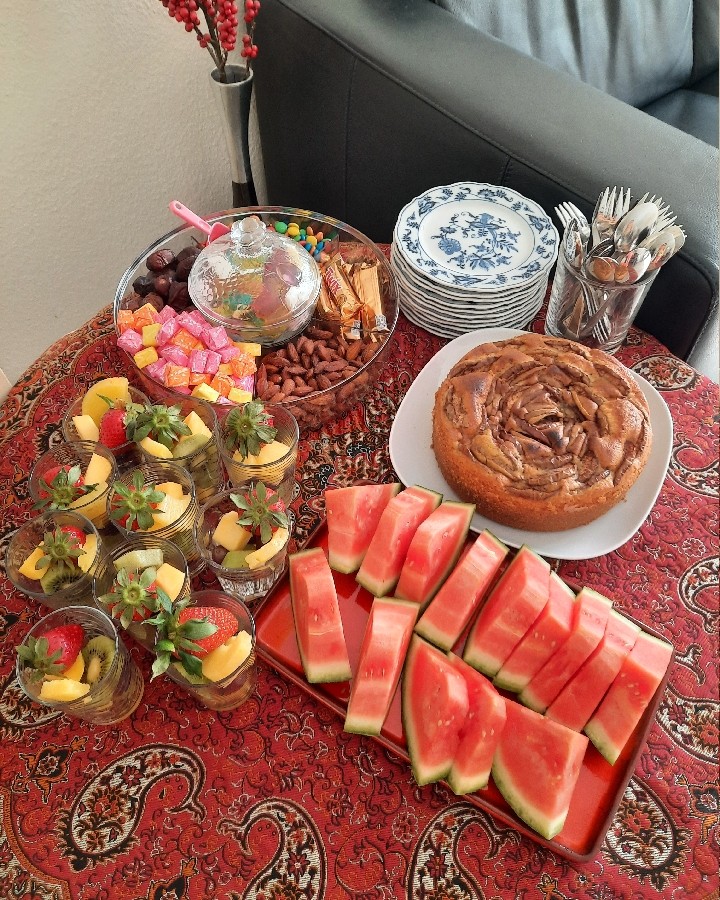 عکس پذیرایی عصرانه وشام مهمانان هلندی