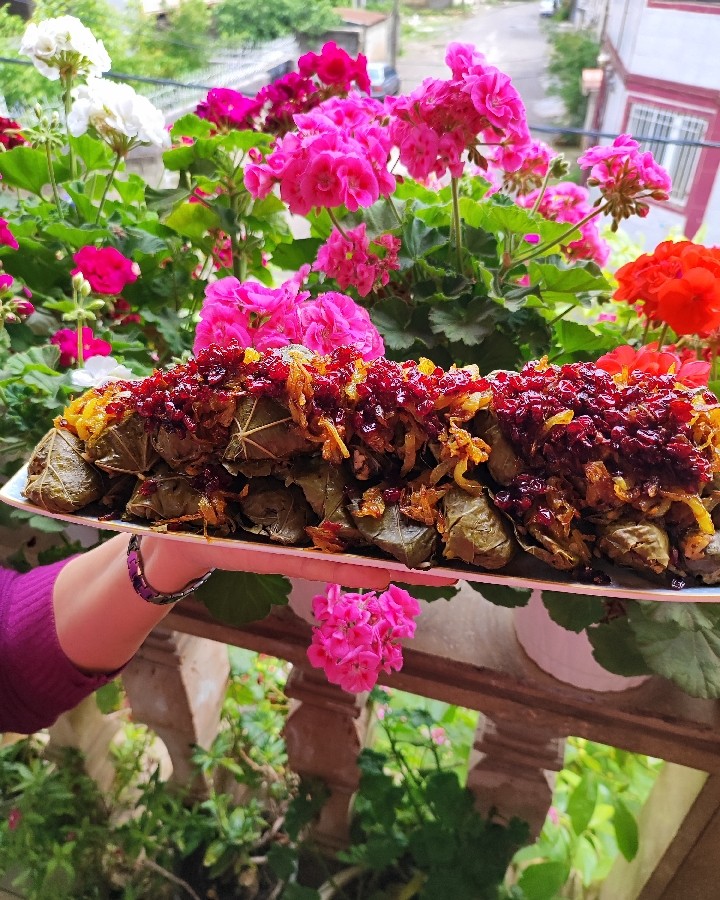 عکس دلمه برگ انگور