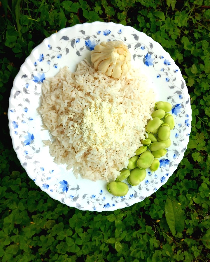 پَلاوپنیر گیلان
