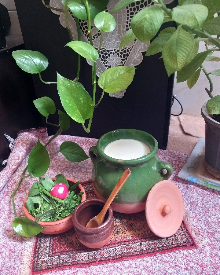 عکس ماست موسیر خانگی...