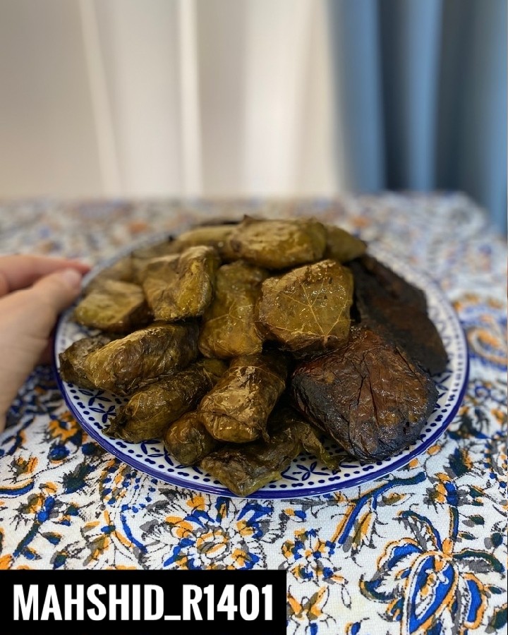 عکس دلمه برگ مو (لرستان)
