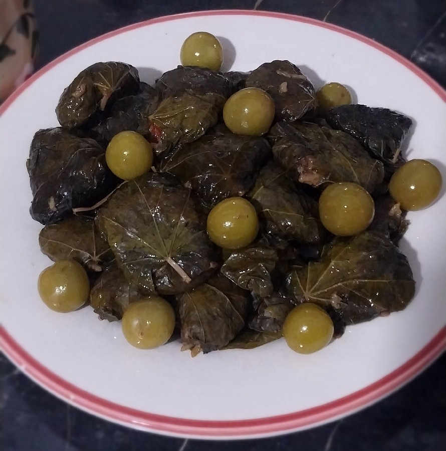 عکس دلمه برگ مو