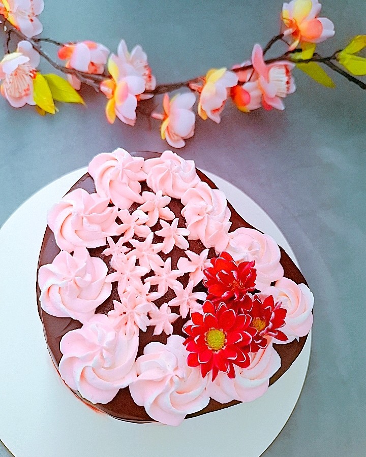 عکس کیک شکلاتی