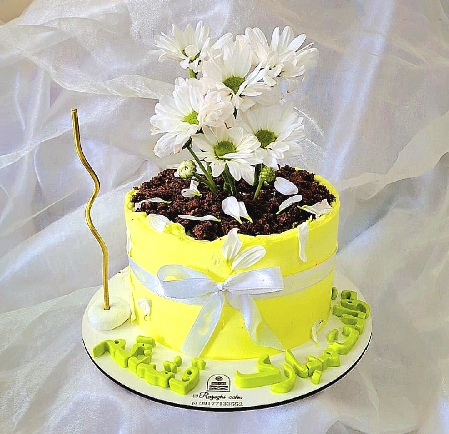 عکس کیک گلدونی 