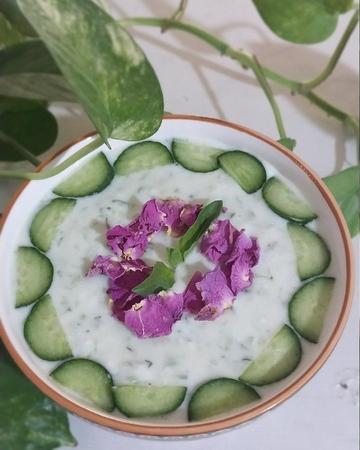 عکس ماست و خیار