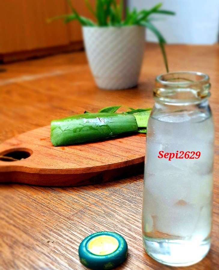 عکس کمپوت آلوئه ورا