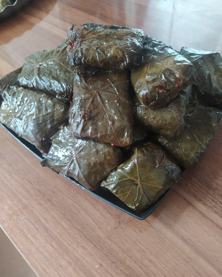 عکس دلمه برگ مو