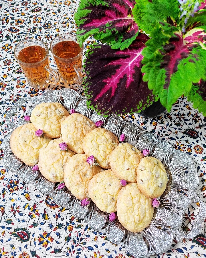 عکس روزمرگی 