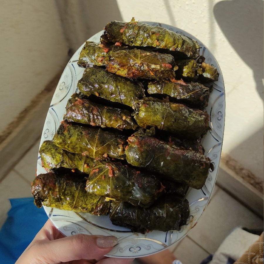 عکس دلمه