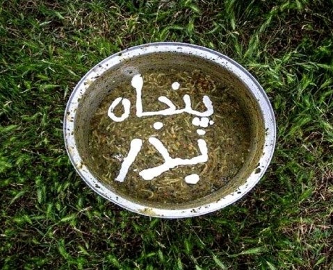 عکس ۵۰بدرقزوین قشنگِمان
