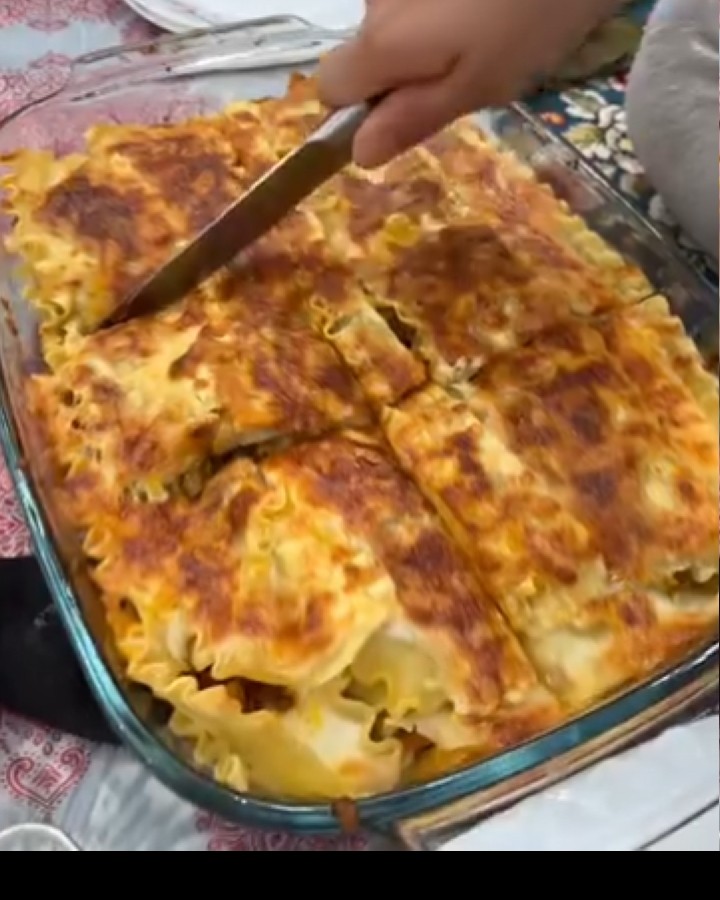 عکس لازانیا