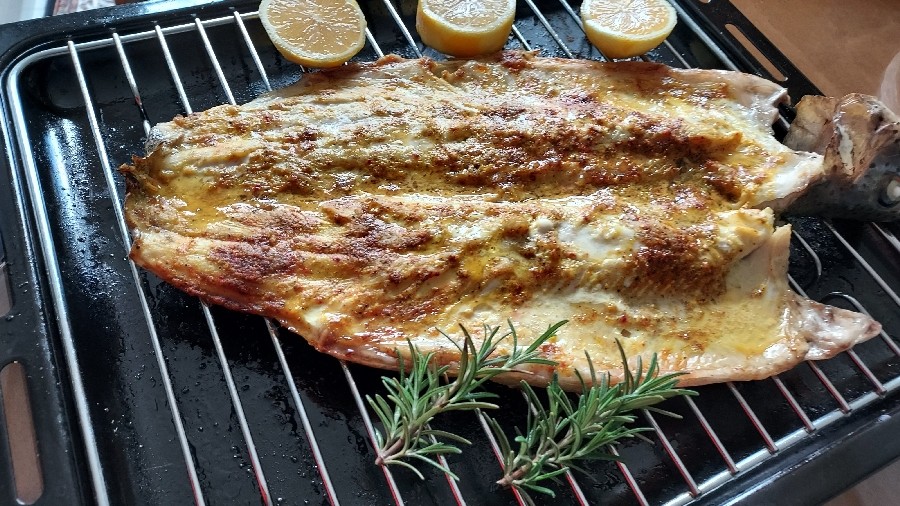 عکس ماهی گریل شده
رول بادمجون و گوشت بوقلمون 
خاچاپوری