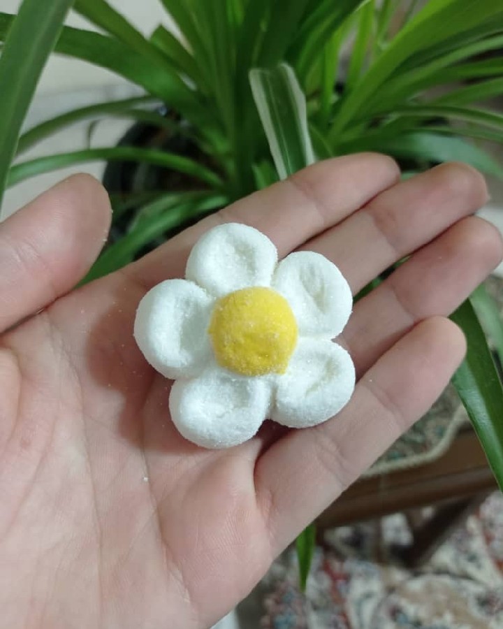 عکس مارشمالو طرح بابونه