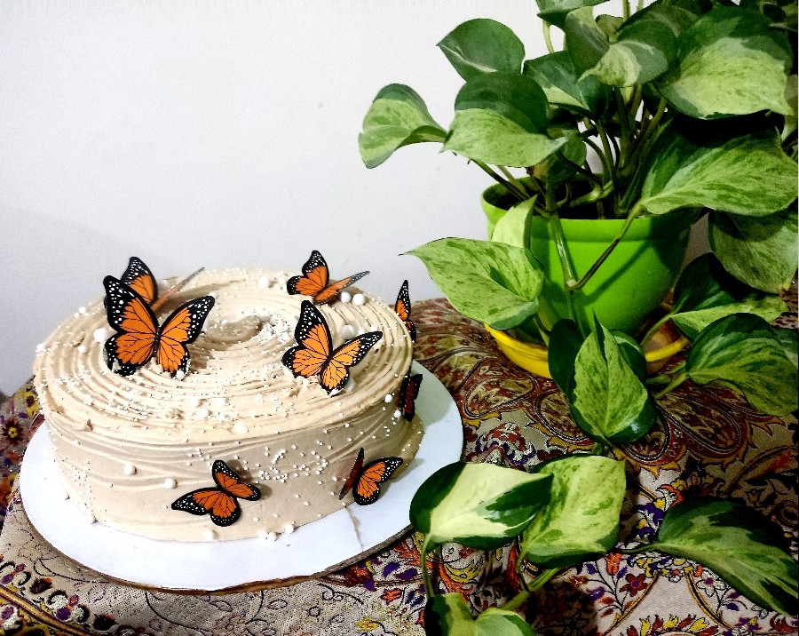 عکس کیک نسکافه ای