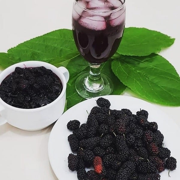 عکس برای اولین بار شربت و مربا توت سیاه درست کردم و عالی شد###