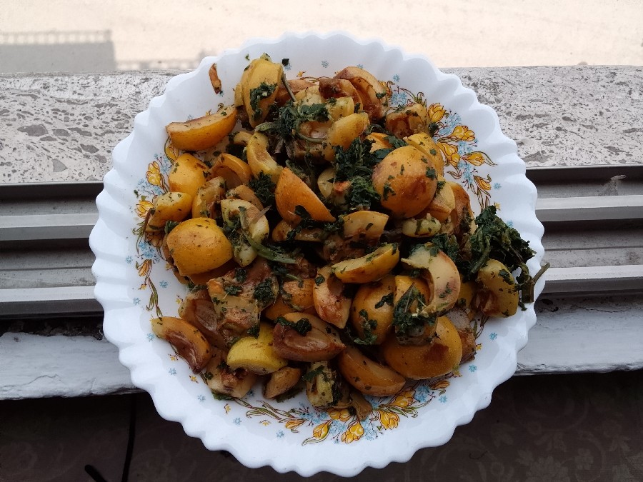 عکس ازگیل کتنی