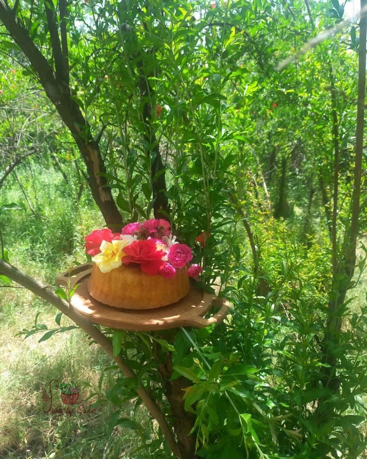 عکس کیک شیر داغ 


