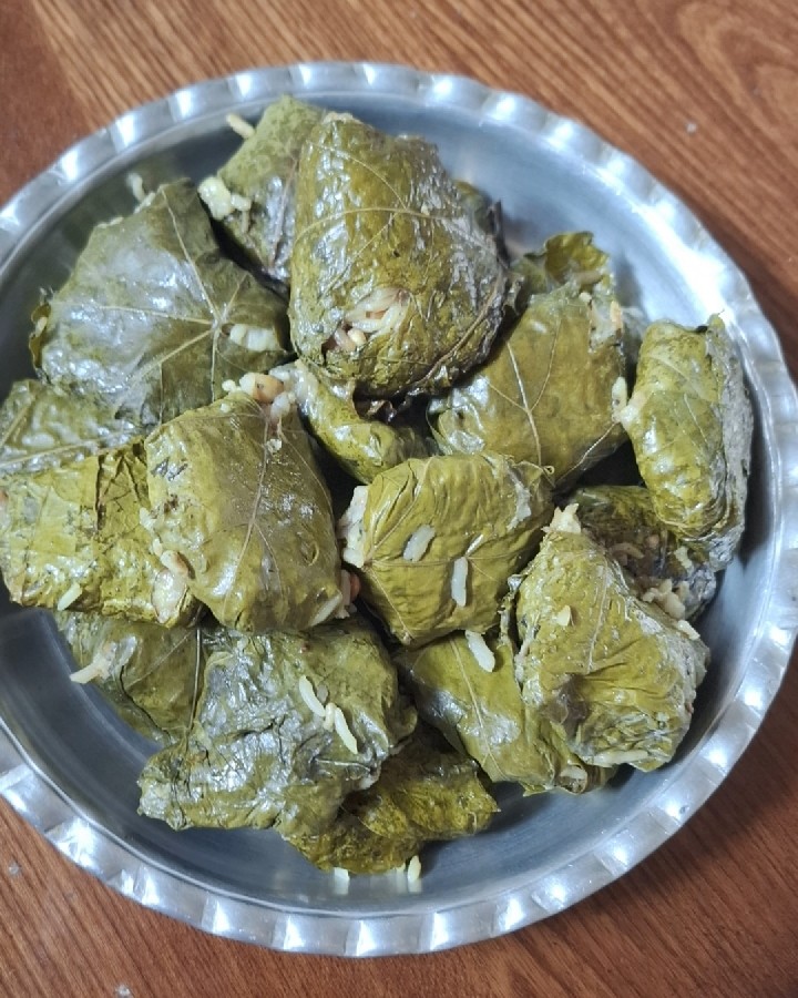 عکس دلمه