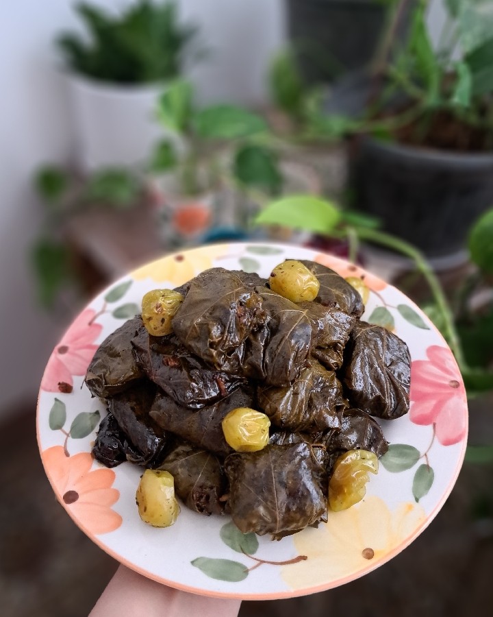 عکس دلمه خوشمزه