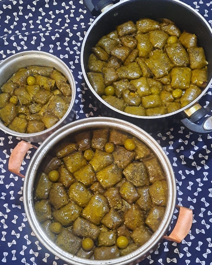 عکس دلمه با برگ تازه