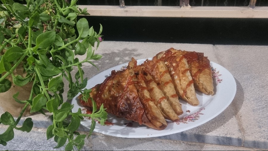 عکس سمبوسه خونگی