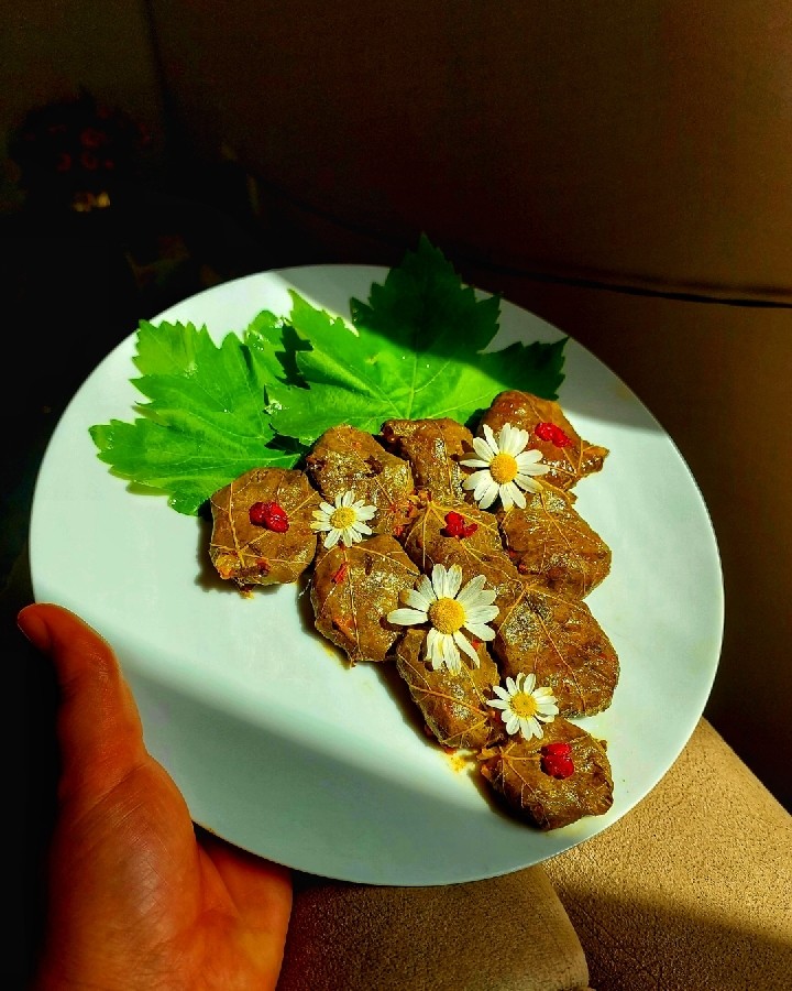 عکس دلمه برگ مو بهاری