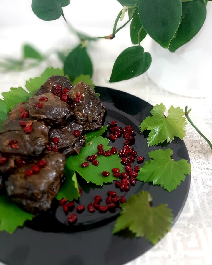 عکس دلمه برگ مو