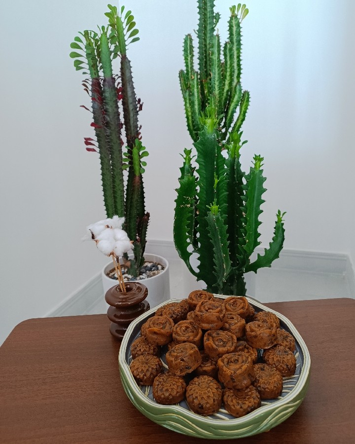 عکس چنگمال خرما