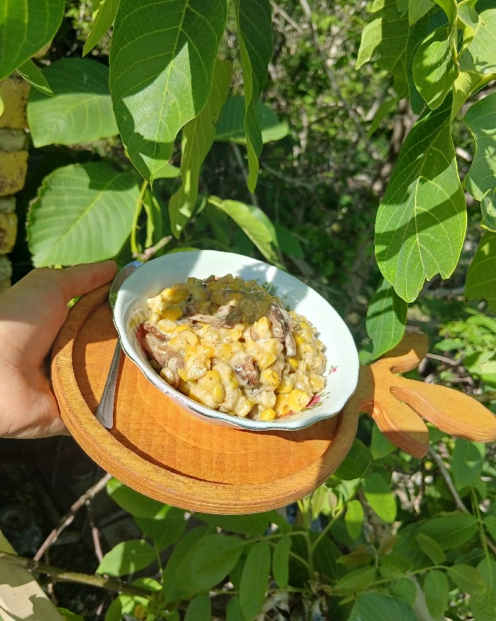 عکس ذرت مکزیکی