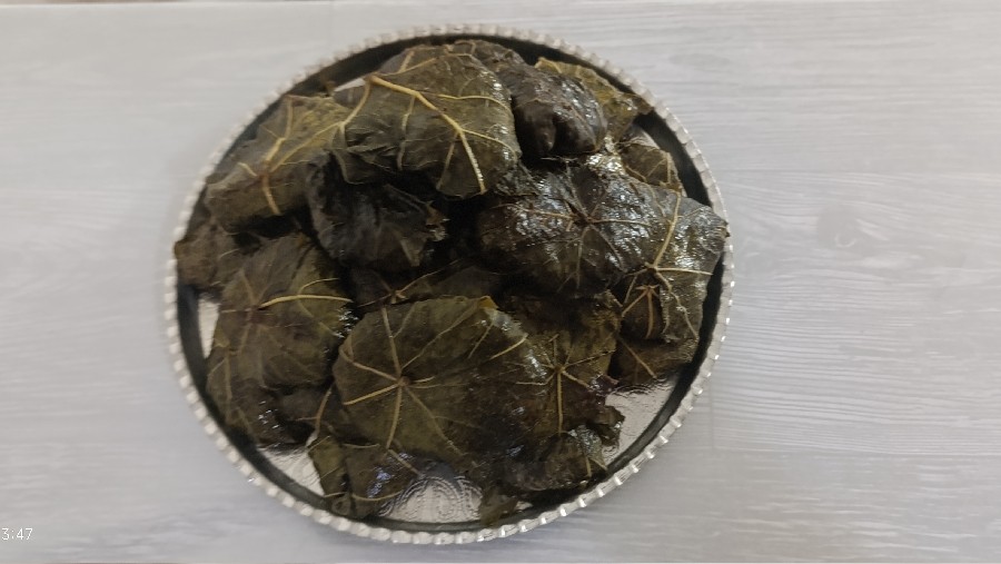عکس دلمه برگ مو 