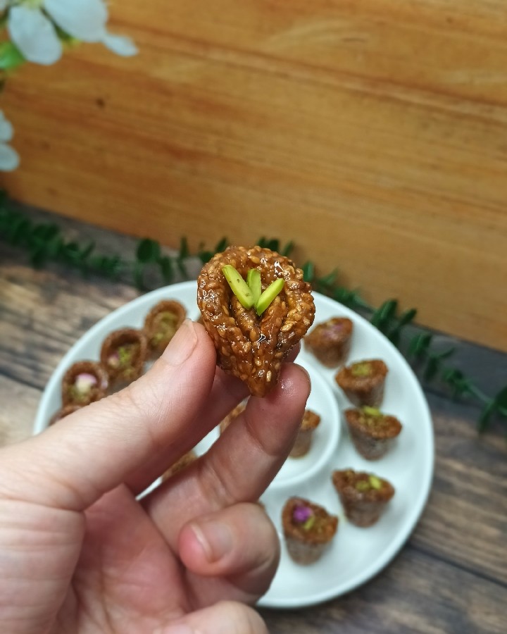 عکس گوشفیل کنجدی