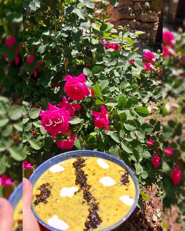 عکس آش رشته 