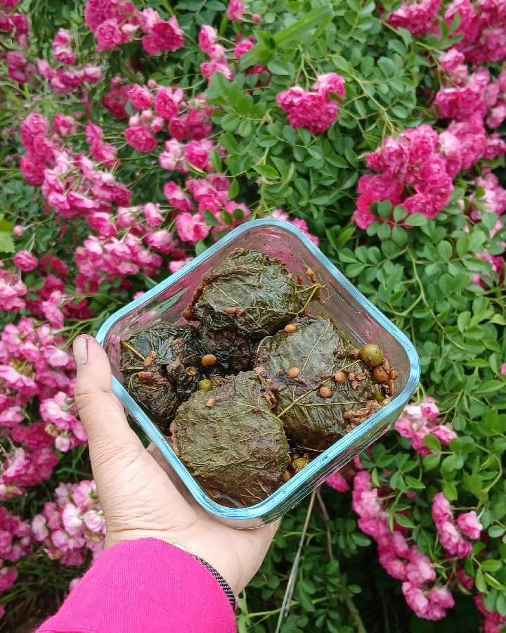عکس جمعه ی قشنگ ما