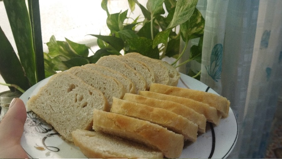 عکس تست مینی